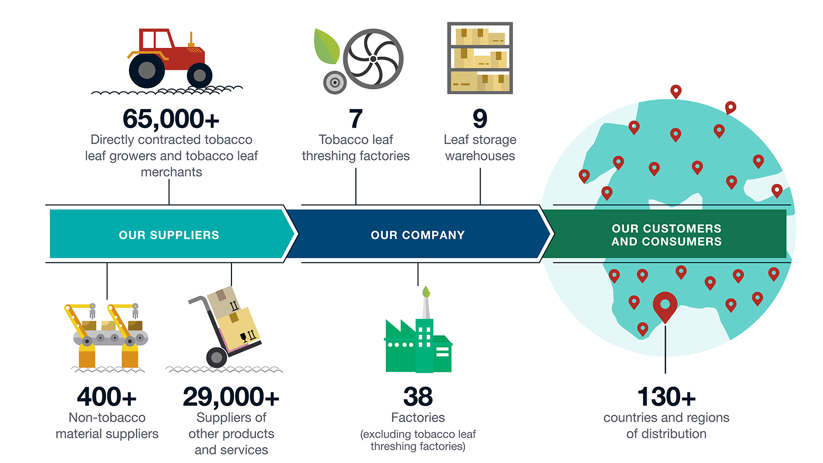 OUR TOBACCO BUSINESS VALUE CHAIN